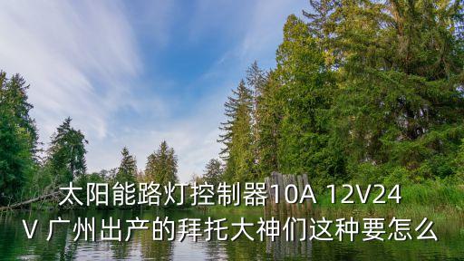 太陽能路燈控制器10A 12V24V 廣州出產的拜托大神們這種要怎么