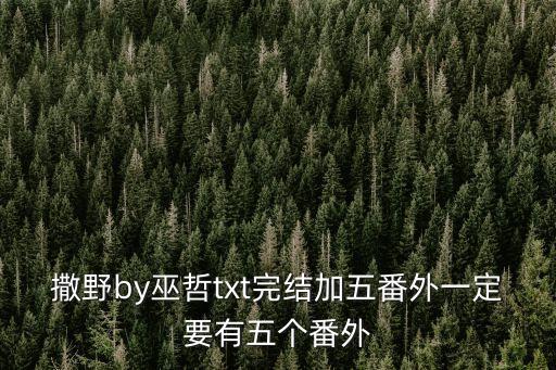 撒野by巫哲txt完結加五番外一定要有五個番外