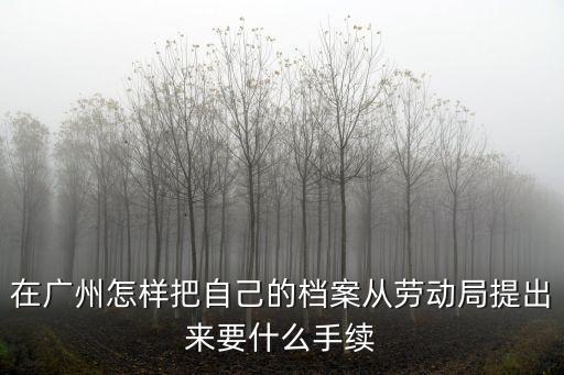 在廣州怎樣把自己的檔案從勞動局提出來要什么手續