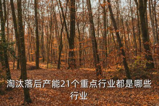 上海市政府淘汰落后產業，淘汰落后產能21個重點行業都是哪些行業