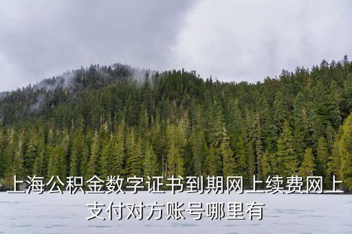 上海公積金數字證書到期網上續費網上支付對方賬號哪里有