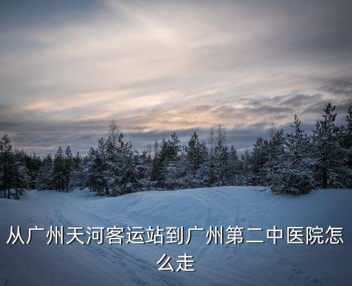 從廣州天河客運站到廣州第二中醫院怎么走
