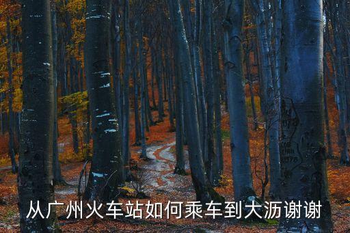 從廣州火車站如何乘車到大瀝謝謝