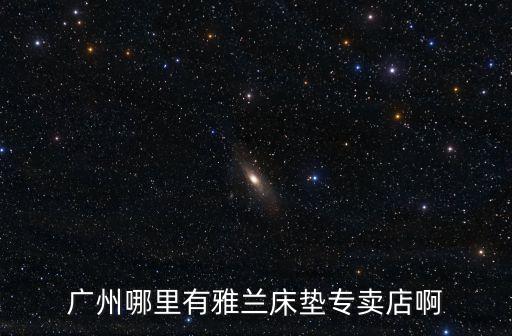 廣州哪里有雅蘭床墊專賣店啊