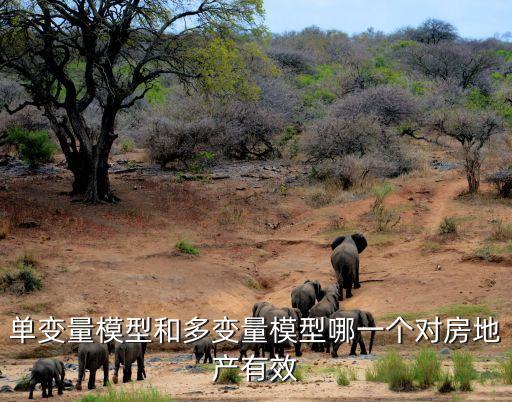 廣州房協專家南沙論道，單變量模型和多變量模型哪一個對房地產有效