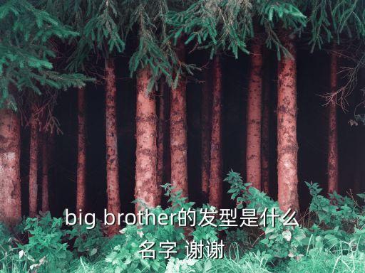 短飛機頭，big brother的發型是什么名字 謝謝