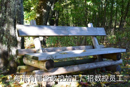 上海市數控落地鏜工招聘單位，上海市有哪些數控加工廠招數控員工