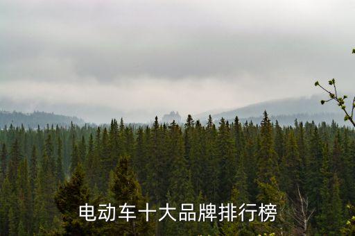 中國電動車排行榜前十名，電動車十大品牌排行榜