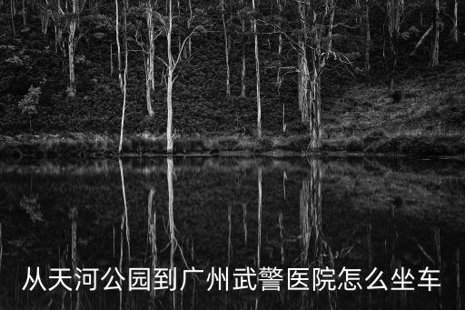 從天河公園到廣州武警醫院怎么坐車