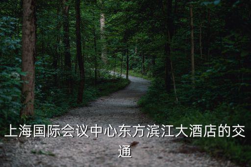 上海國際會議中心東方濱江大酒店的交通