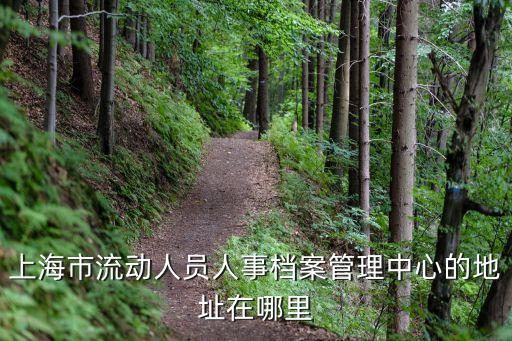 上海市流動人員人事檔案管理中心的地址在哪里