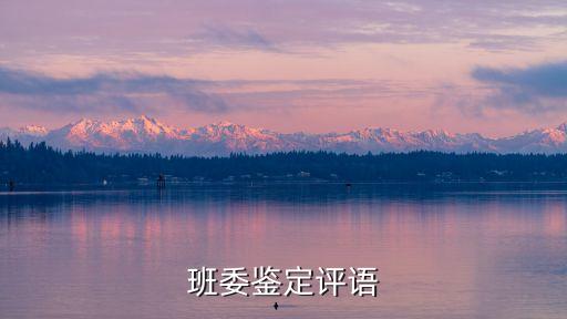 班委鑒定評語，班委鑒定點寫
