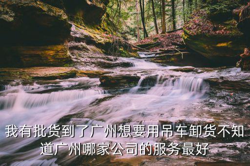 我有批貨到了廣州想要用吊車卸貨不知道廣州哪家公司的服務最好