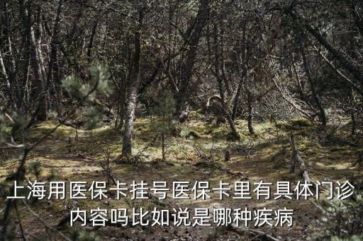 上海市醫保診療目錄，上海用醫保卡掛號醫保卡里有具體門診內容嗎比如說是哪種疾病