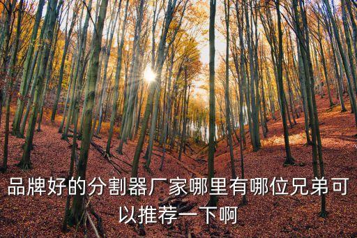 品牌好的分割器廠家哪里有哪位兄弟可以推薦一下啊