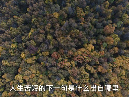 人生苦短的下一句是什么出自哪里