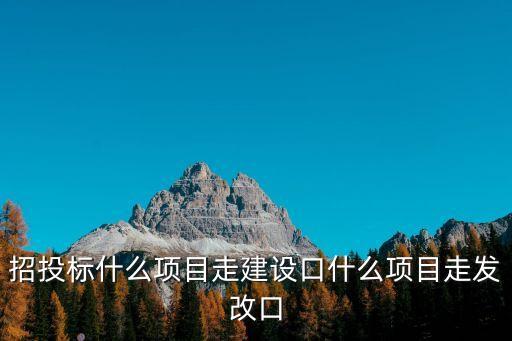上海市哪些項目走建委招標，上海建筑工程一般在哪里公開招標