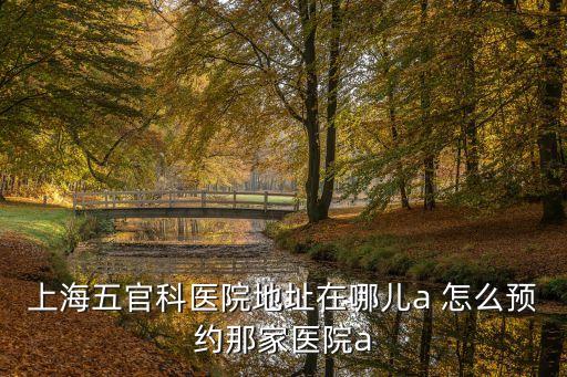 上海五官科醫(yī)院地址在哪兒a 怎么預約那家醫(yī)院a