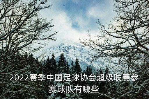廣州隊21賽季客場球衣，淘寶上有賣廣州恒大隊服的嗎