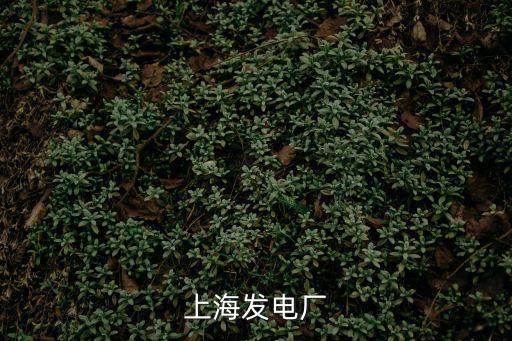 上海發電廠