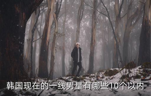 韓國現在的一線男星有哪些10個以內