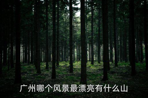 廣州哪個(gè)風(fēng)景最漂亮有什么山