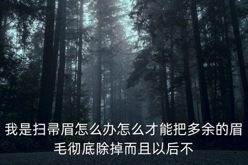 掃帚眉，掃帚眉 是什么形狀的