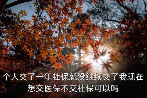 上海市醫保如何不交，外地人在上海交社保可以不交嗎