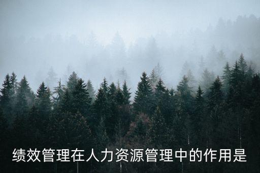 績效管理的作用，績效管理在企業(yè)管理中的作用