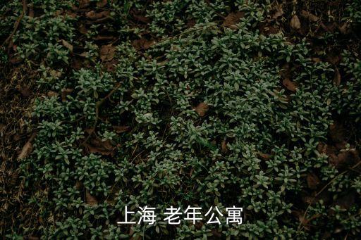 上海 老年公寓