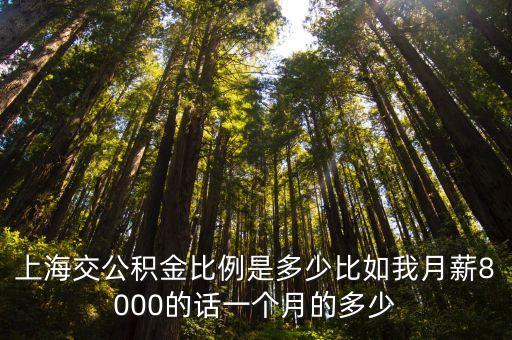 上海交公積金比例是多少比如我月薪8000的話一個(gè)月的多少