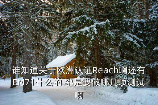 誰知道關于歐洲認證Reach啊還有EM71什么的 都是要做哪幾項測試啊