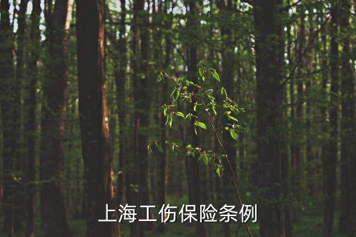 上海市職工保險條例，上海工傷保險條例