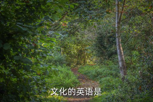 文化的英語，culture international 的中文意思