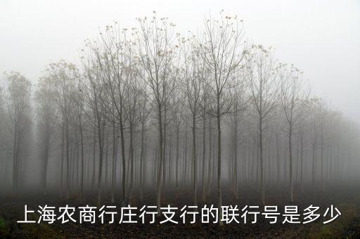 農(nóng)行上海市奉浦支行行號(hào)，上海農(nóng)商行莊行支行的聯(lián)行號(hào)是多少
