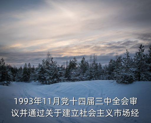 1993年11月黨十四屆三中全會審議并通過關于建立社會主義市場經