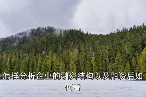 融資分析，分析一個企業(yè)的投融資機制應該怎么入手從哪些方面寫