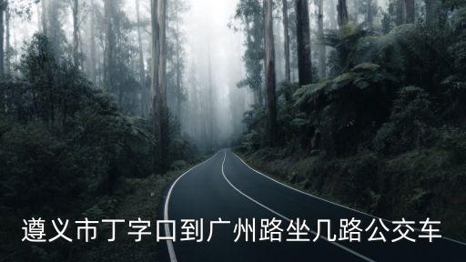 遵義市丁字口到廣州路坐幾路公交車