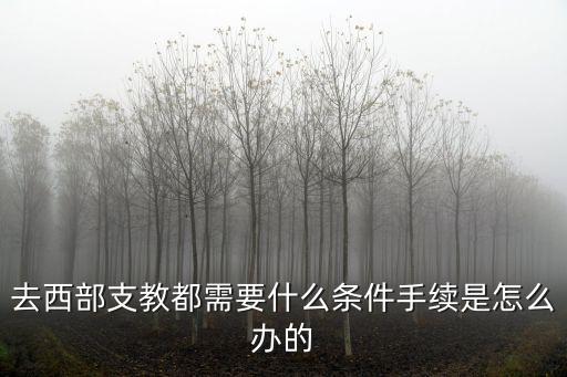 去西部支教都需要什么條件手續(xù)是怎么辦的