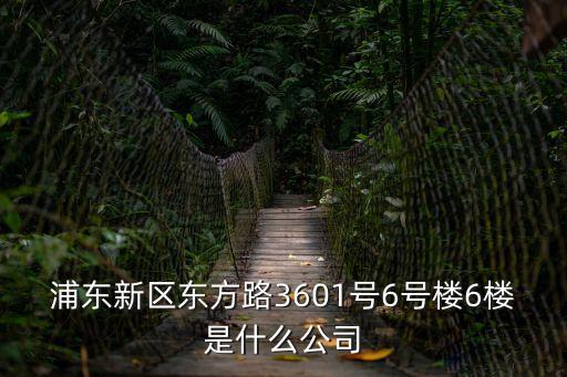 浦東新區東方路3601號6號樓6樓是什么公司