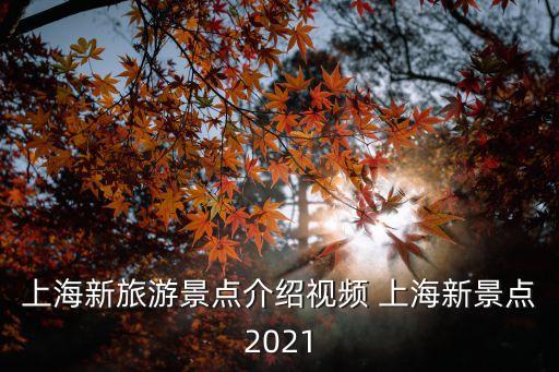 上海新旅游景點介紹視頻 上海新景點2021