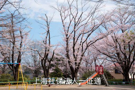 上海市一證通用，法人一證通 上海市法人一證通一定要辦理嘛 可以不辦嘛