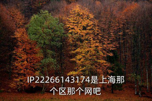 IP22266143174是上海那個區那個網吧