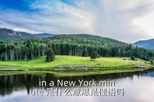 什么是俚語(yǔ)，in a New York minute 是什么意思是俚語(yǔ)嗎
