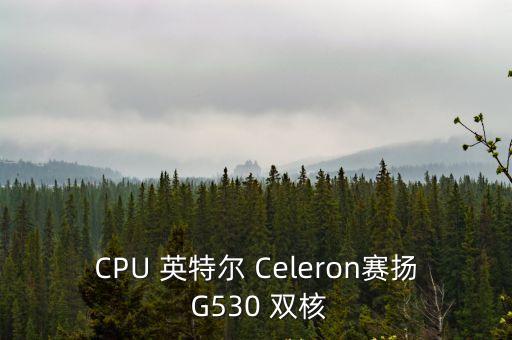 g530，G530性能
