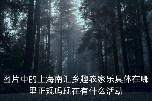 圖片中的上海南匯鄉趣農家樂具體在哪里正規嗎現在有什么活動