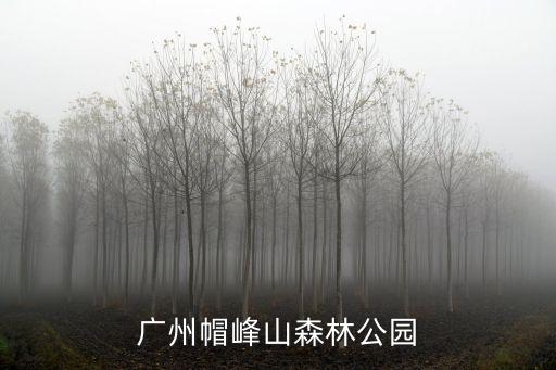 廣州帽峰山森林公園