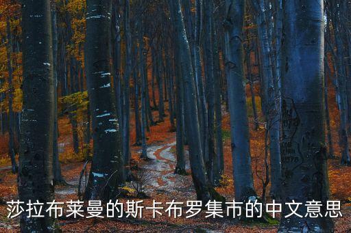莎拉布萊曼的斯卡布羅集市的中文意思