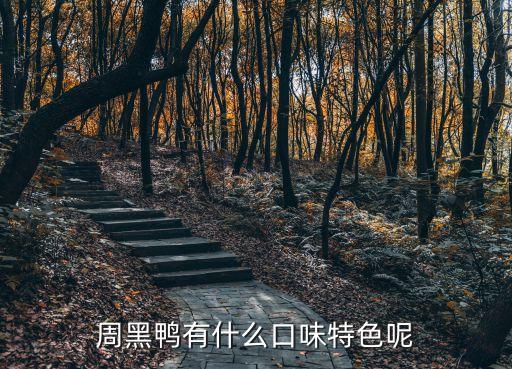 廣州美食周黑鴨，請問周黑鴨廣州哪里有賣我住科學城這附近有嗎
