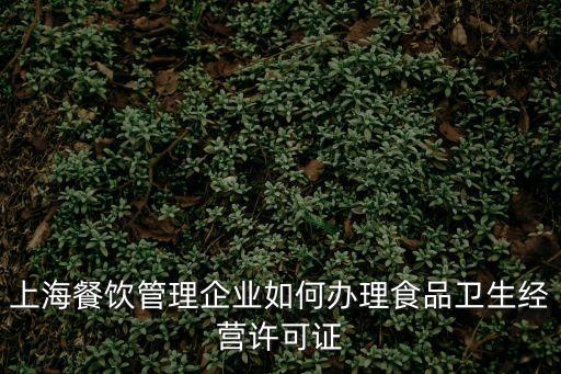 上海餐飲管理企業如何辦理食品衛生經營許可證